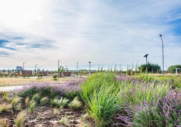 EcoVida - VILLA AMELIA